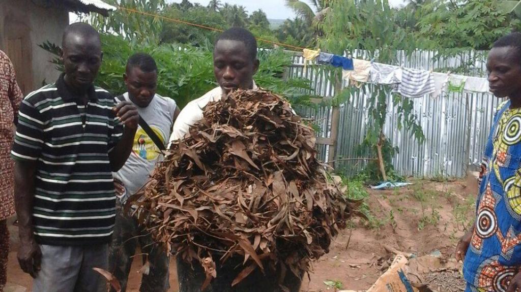 Un compost magique au Bénin